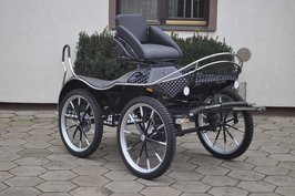 Marathon wagen Type:  Ergonomic 77