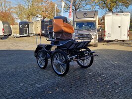 2Sp. Glinkowski Marathonwagen Paard