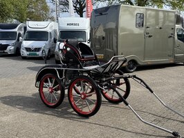1Sp. Marathonwagen Glinkowski Falcon Paard