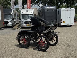 1Sp. Glinkowski Marathonwagen Paard