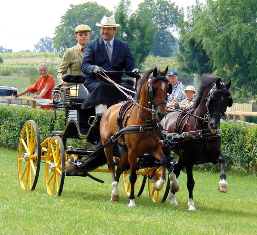 Ideal Eurotech Zweisp&auml;nner Classic Geschirr 