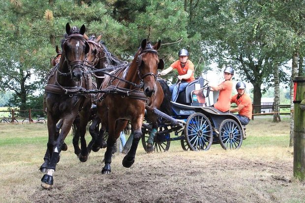 Ideal Eurotech Classic Viersp&auml;nner Geschirr