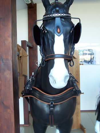 Arden Pairs Standard Lux Leather