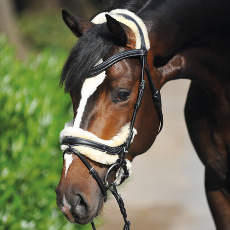 Hoofdstel "Ivy" met wol