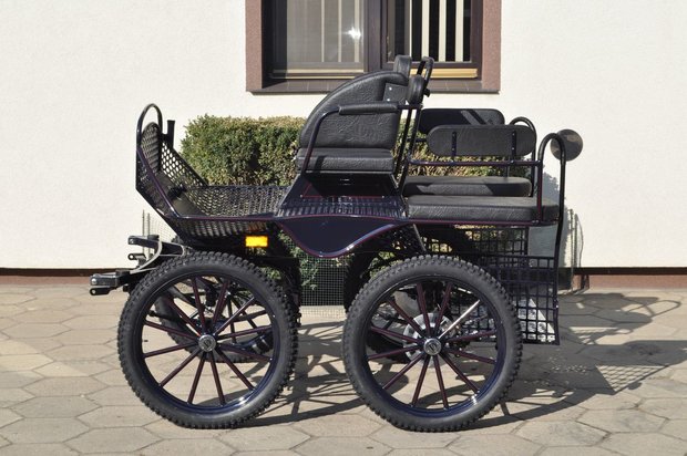 Marathon wagen Type:  Shetty 1 paards 35b