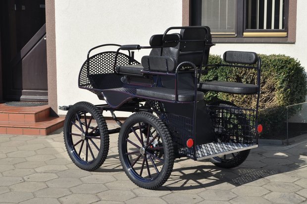 Marathon wagen Type:  Shetty 1 paards 35b