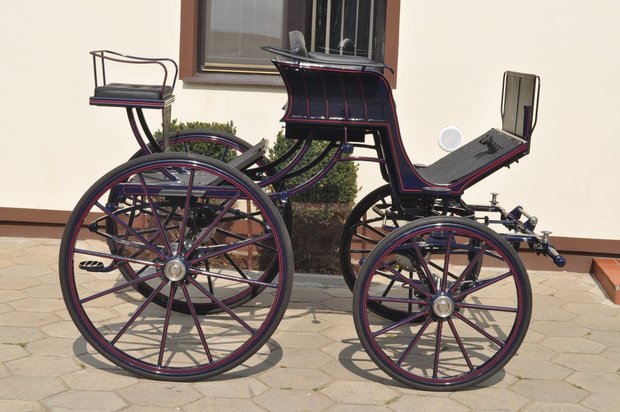 Prestatie wagen Type:   Spider gebogen lamoen 65c