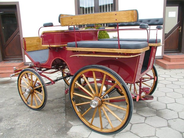 Wagonette Sport 14r