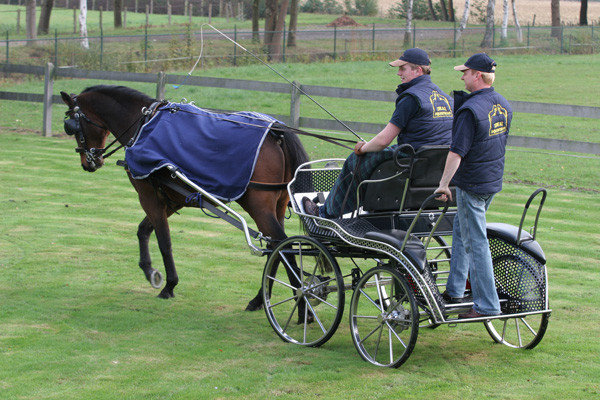 Ideal Mendeken fleece (nierdeken)