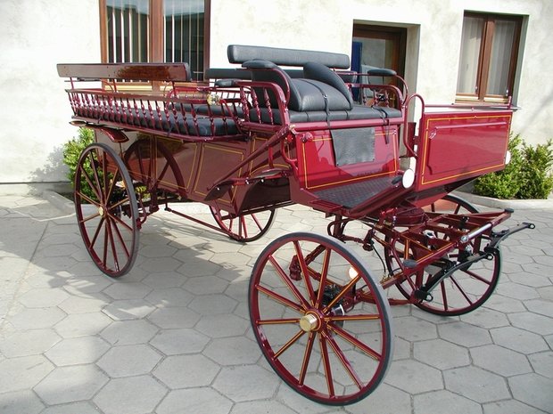 Wagonette Sport 14g