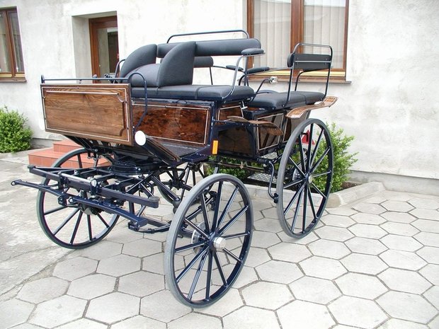 Wagonette Sport 14