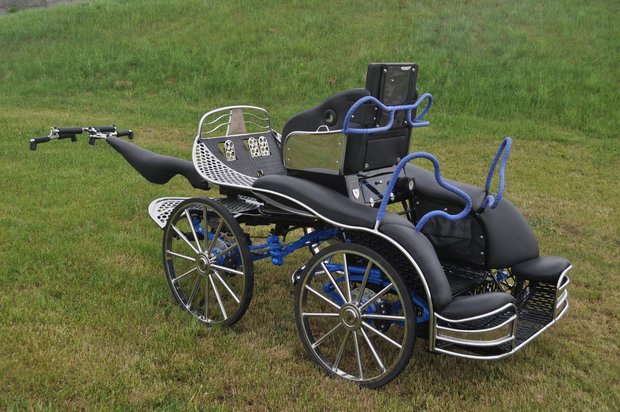Marathon wagen Type:  Holland 26HC