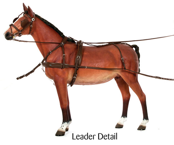 Zilco Brun Team Harness 