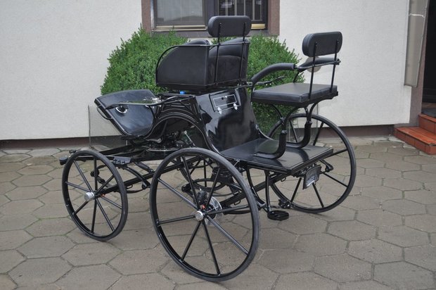 Prestatie wagen Type:   Spider Pony gebogen lamoen 64i