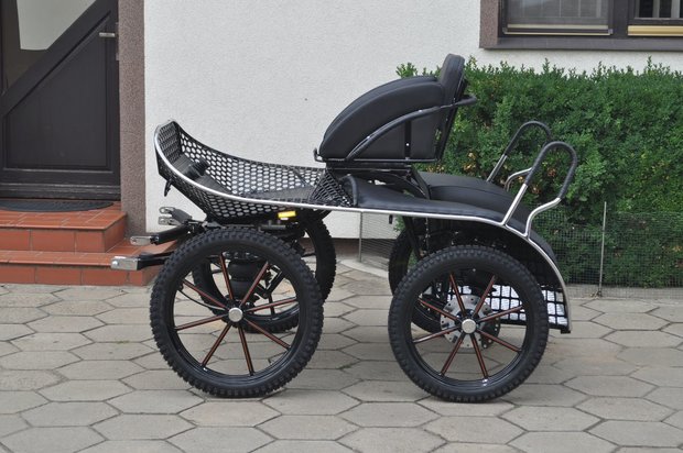 Marathon wagen Type: Leica Pony 10a