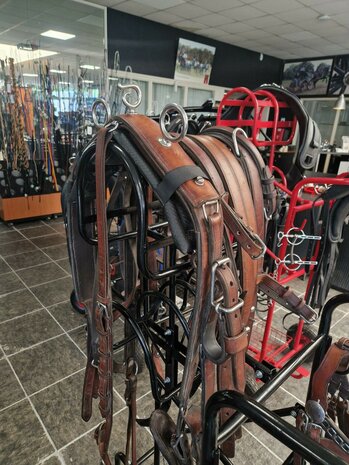 1Sp. Mentuig Leder Paard 