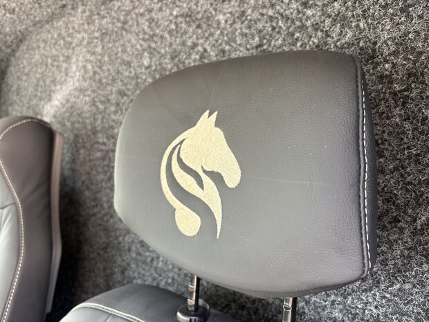 Nieuw! Sodiak Imagine Renault Master Hengstenuitvoering 