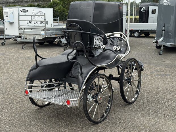2Sp. Anatomic Marathonwagen Paard 