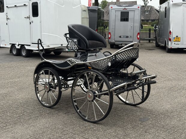2Sp. Anatomic Marathonwagen Paard 