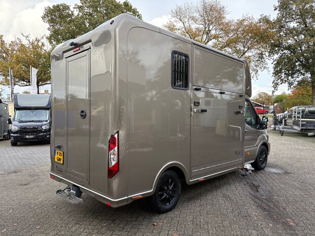 Ford Transit Sodiak Nubia Hengstenuitvoering Automaat 2024