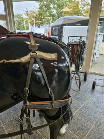 Arden Enkelspan Biothane Lux Tuig Full Zwart/London