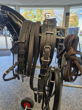 Ideal Enkelspan Luxe Mentuig Cob Zwart 