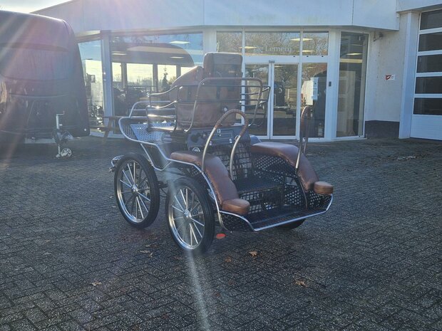 2Sp. Glinkowski Marathonwagen Paard