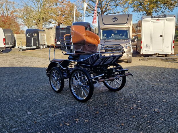 2Sp. Glinkowski Marathonwagen Paard