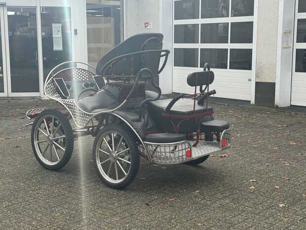 2Sp. Marathonwagen Anatomic Pony 