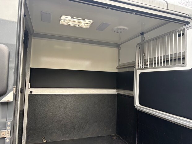 Renault Master STX Hengstenuitvoering 2022