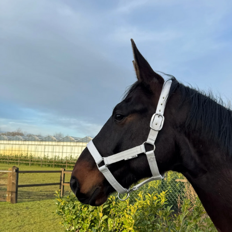 Ideal Extra sterk nylon halster