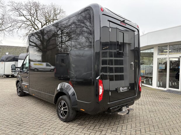 Ford Transit STX Hengstenuitvoering Handbak 2024