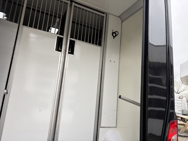 Ford Transit STX Hengstenuitvoering Handbak 2024