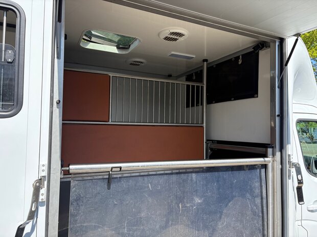Sodiak Nubia Renault Master 2020 Hengstenuitvoering 