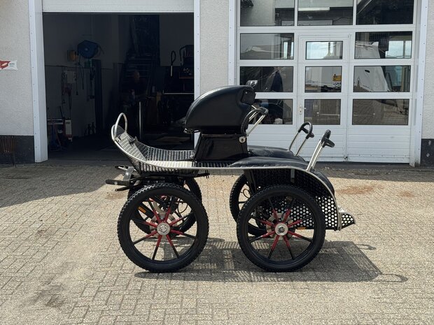 1Sp. Glinkowski Marathonwagen Paard