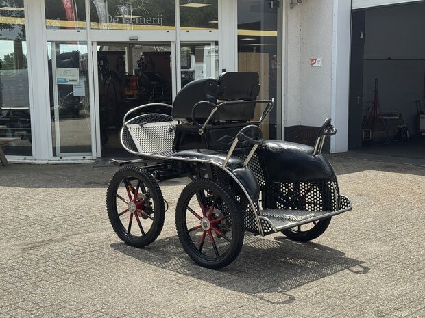 1Sp. Glinkowski Marathonwagen Paard