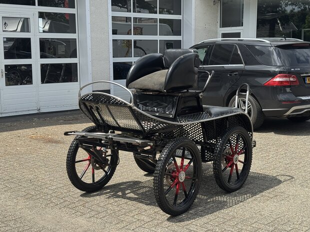 1Sp. Glinkowski Marathonwagen Paard