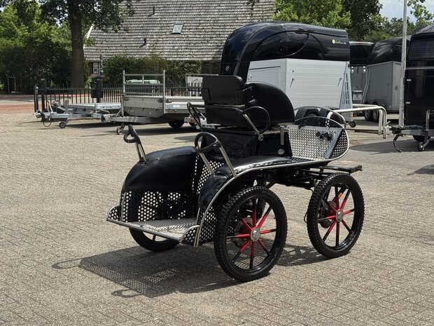 1Sp. Glinkowski Marathonwagen Paard
