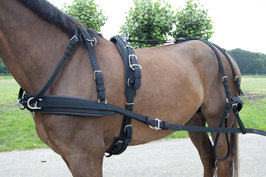 Ideal Webtech Single Harness