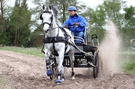 Ideal Leathertech Enkelspan Tuig 