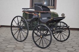 Prestatie wagen Type:   Spider Pony gebogen lamoen 64c