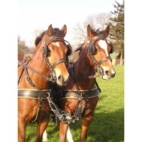 Ideal Tweespan Marathon Tuig