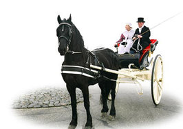 Ideal Enkelspan Fries Tuig