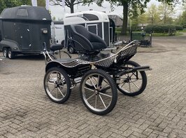 1Sp. Anatomic Marathonwagen