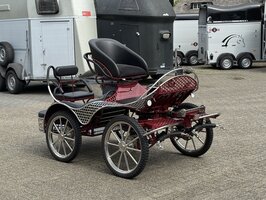 2Sp. Anatomic Marathonwagen Pony 21/19 Inch